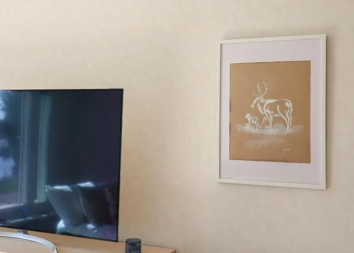 Arctic Sauna Ροβανιέμι